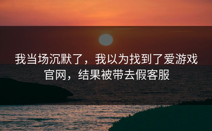 我当场沉默了，我以为找到了爱游戏官网，结果被带去假客服