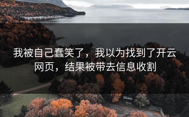 我被自己蠢笑了，我以为找到了开云网页，结果被带去信息收割