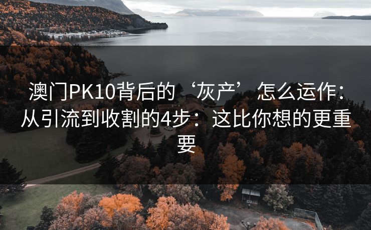 澳门PK10背后的‘灰产’怎么运作：从引流到收割的4步：这比你想的更重要